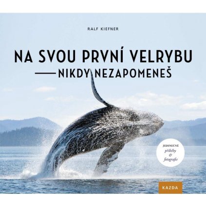 Velryby titul beta verze