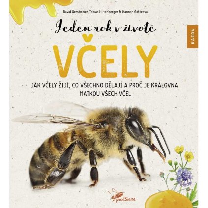 Jeden rok v životě včely