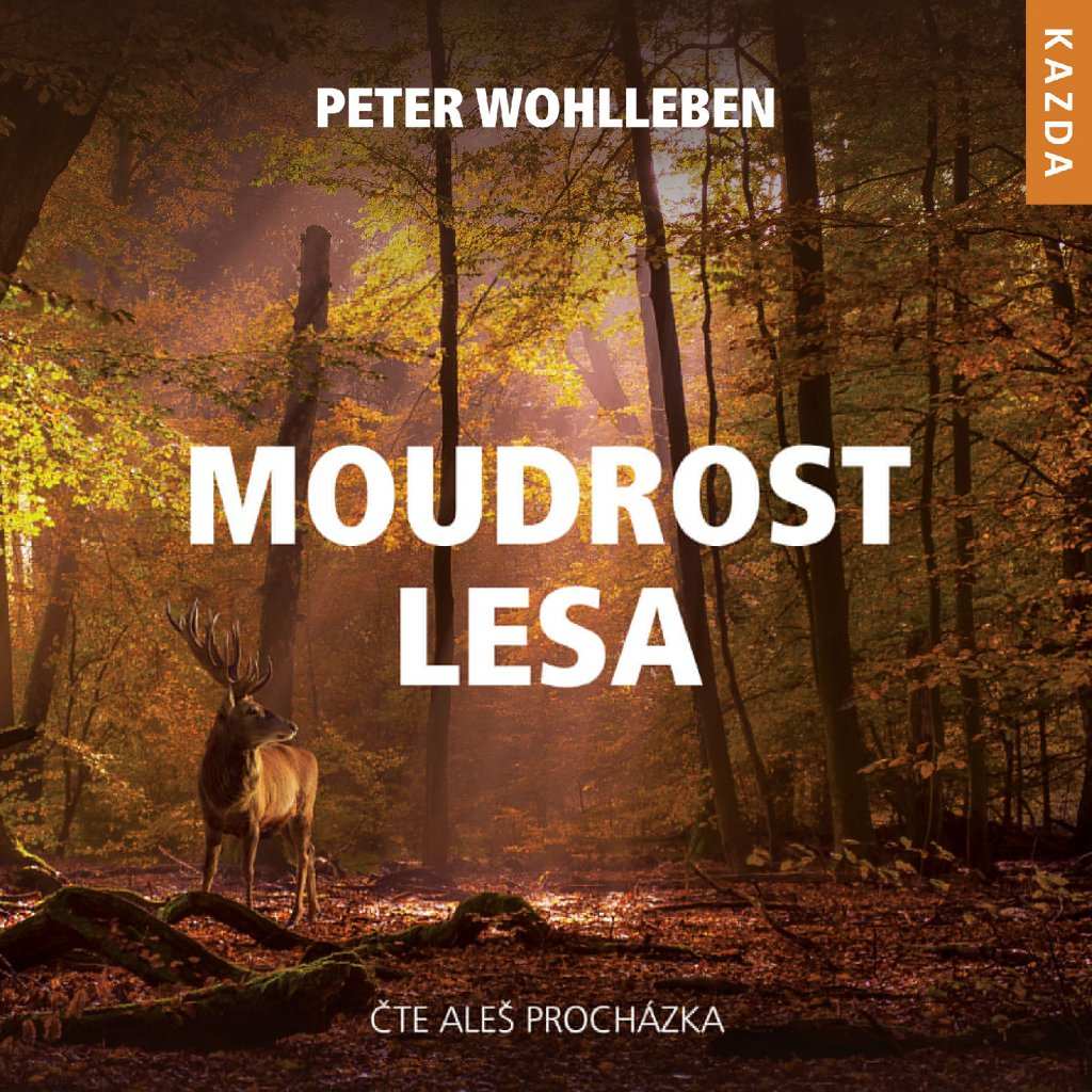 Levně Peter Wohlleben Moudrost lesa Provedení: CD audiokniha