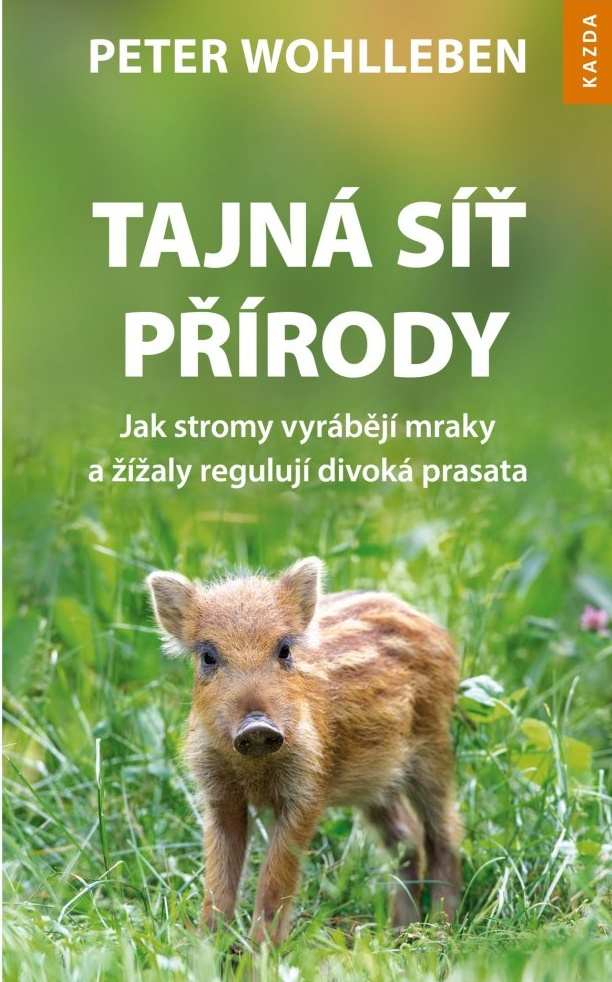 Peter Wohlleben Tajná síť přírody Provedení: Poškozená kniha