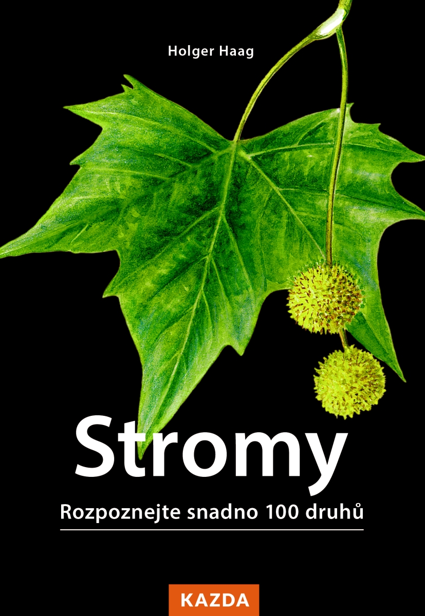 Holger Haag Stromy - Rozpoznejte snadno 100 druhů stromů Provedení: Tištěná kniha