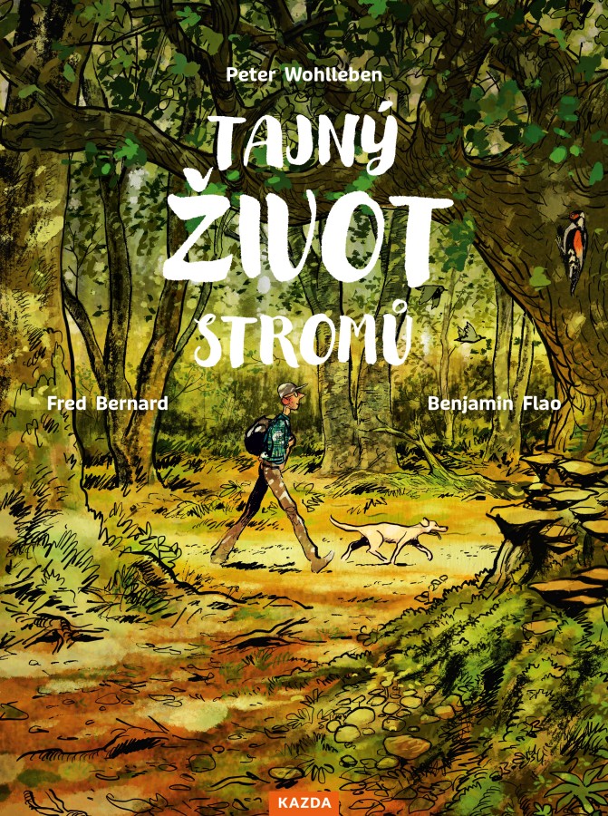 Levně Peter Wohlleben Tajný život stromů - komiks