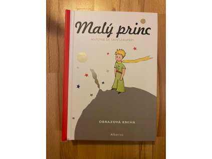 18696 maly princ obrazova kniha
