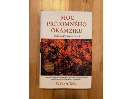 20655 moc pritomneho okamziku