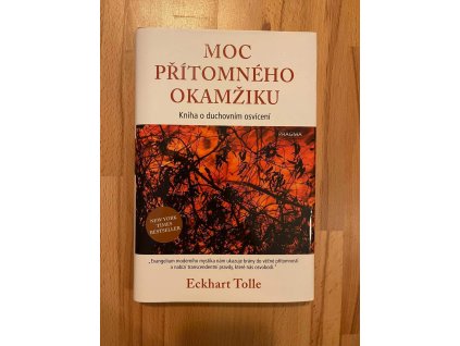 20859 moc pritomneho okamziku