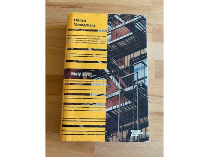 20877 maly zivot romanovy epos