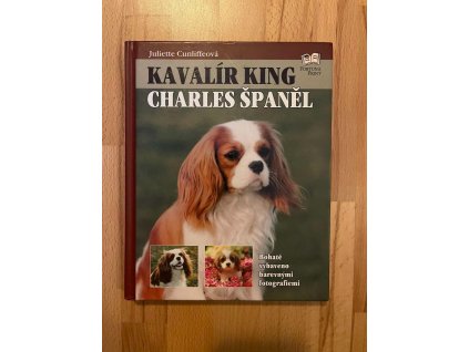21165 kavalir king charles spanel