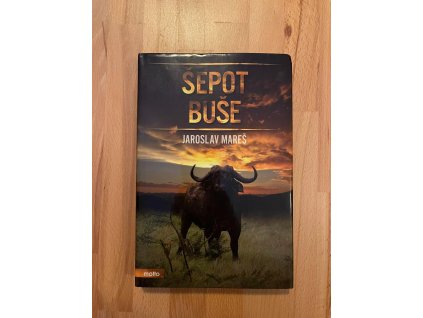 21975 sepot buse