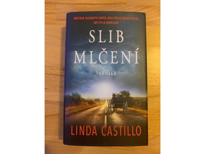 22521 slib mlceni serie pripady kate burkholderove