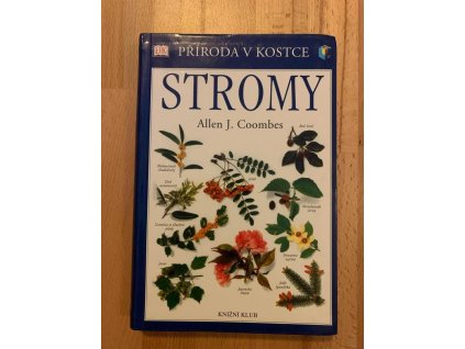 23352 stromy