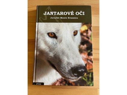 23634 jantarove oci