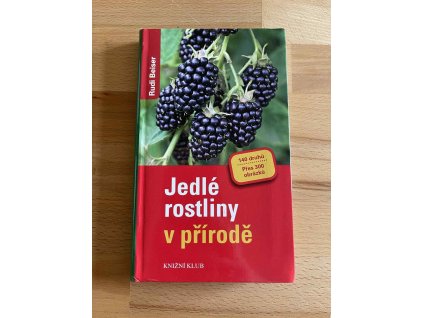 24291 jedle rostliny v prirode