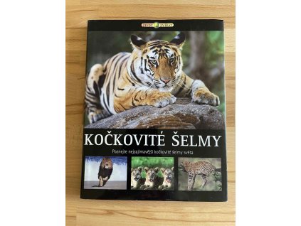 27414 kockovite selmy poznejte nejzajimavejsi kockovite selmy sveta 237929311