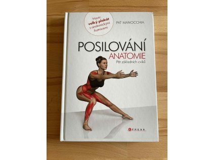 posilovani anatomie pet zakladnich cviku pat manocchia 240532707