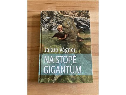 na stope gigantum jakub vagner 242744485