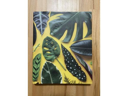 pokojovky a jak se o ne starat rozi zacharov 249778439