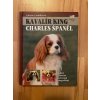 21165 kavalir king charles spanel