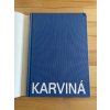karvina irena hajzlerova 239315146