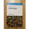 histologie renate lullmann rauch 253515402