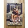 pribeh umeni e h gombrich 253516337