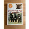 chodsky pes jan findejs 264175450