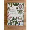 botanicum racte vstoupit do muzea katty willis 270389292