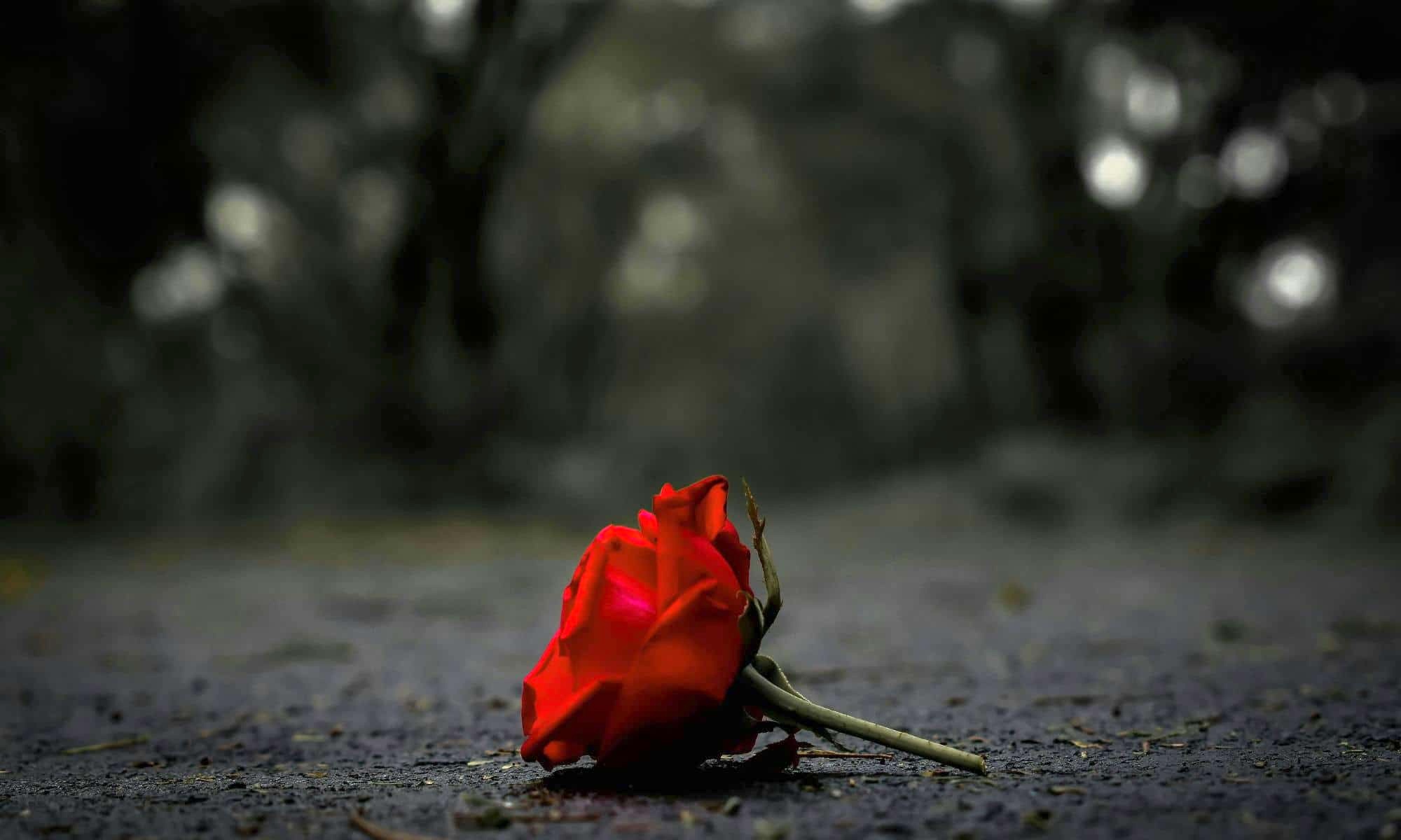 Není dark romance jako dark romance