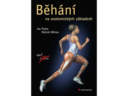 Běhání na anatomických základech