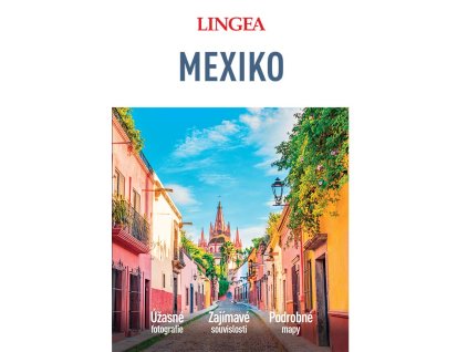 BIGMEX1 cover