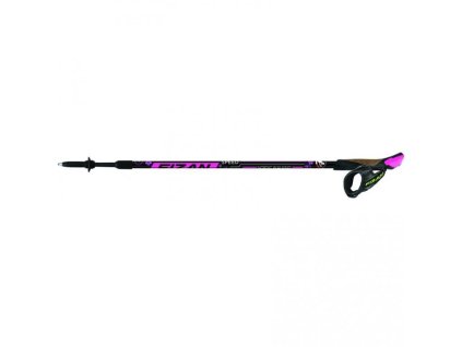 37851 speed pink 2020 copia