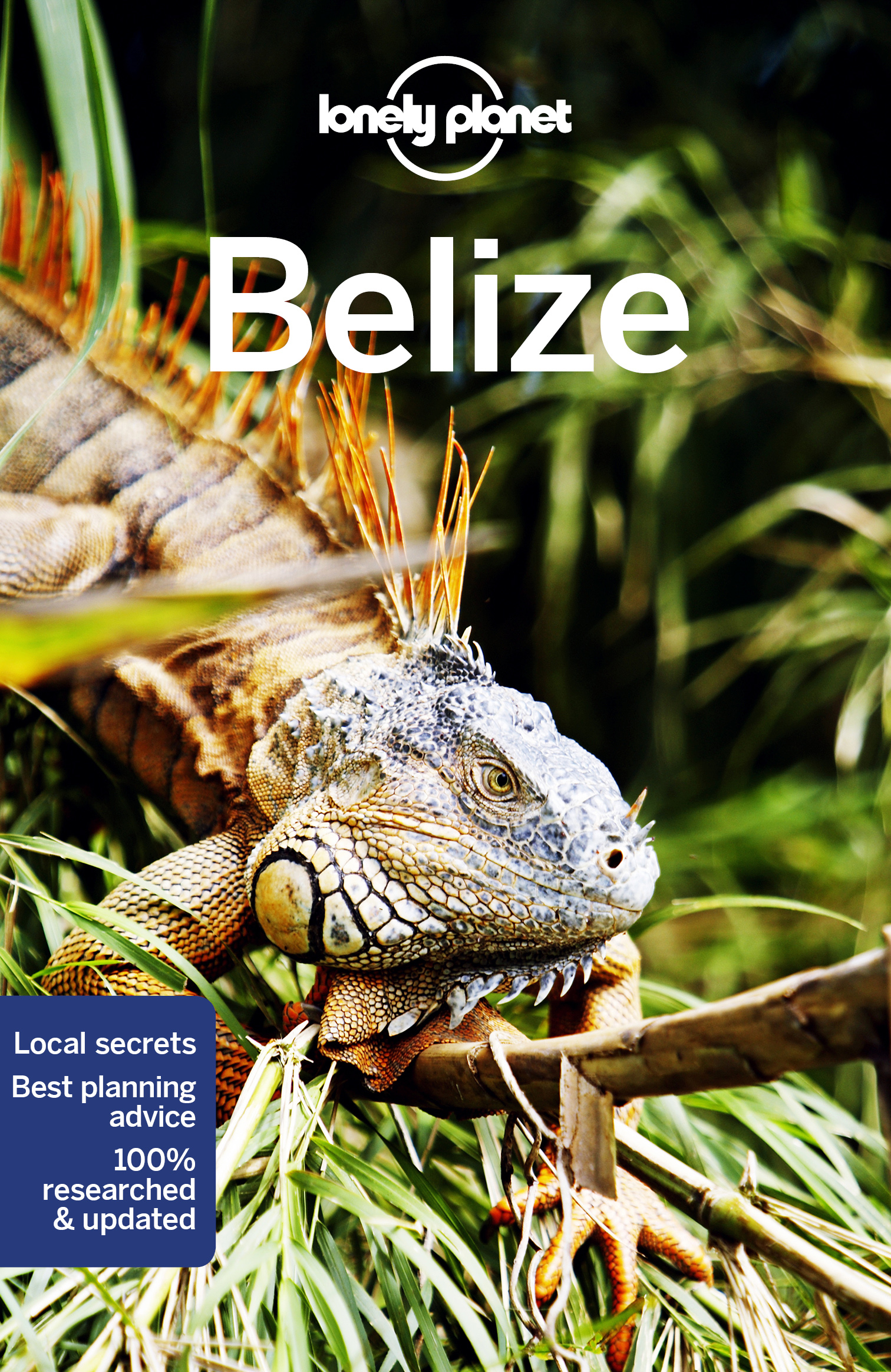 průvodce Belize 8. edice anglicky Lonely Planet