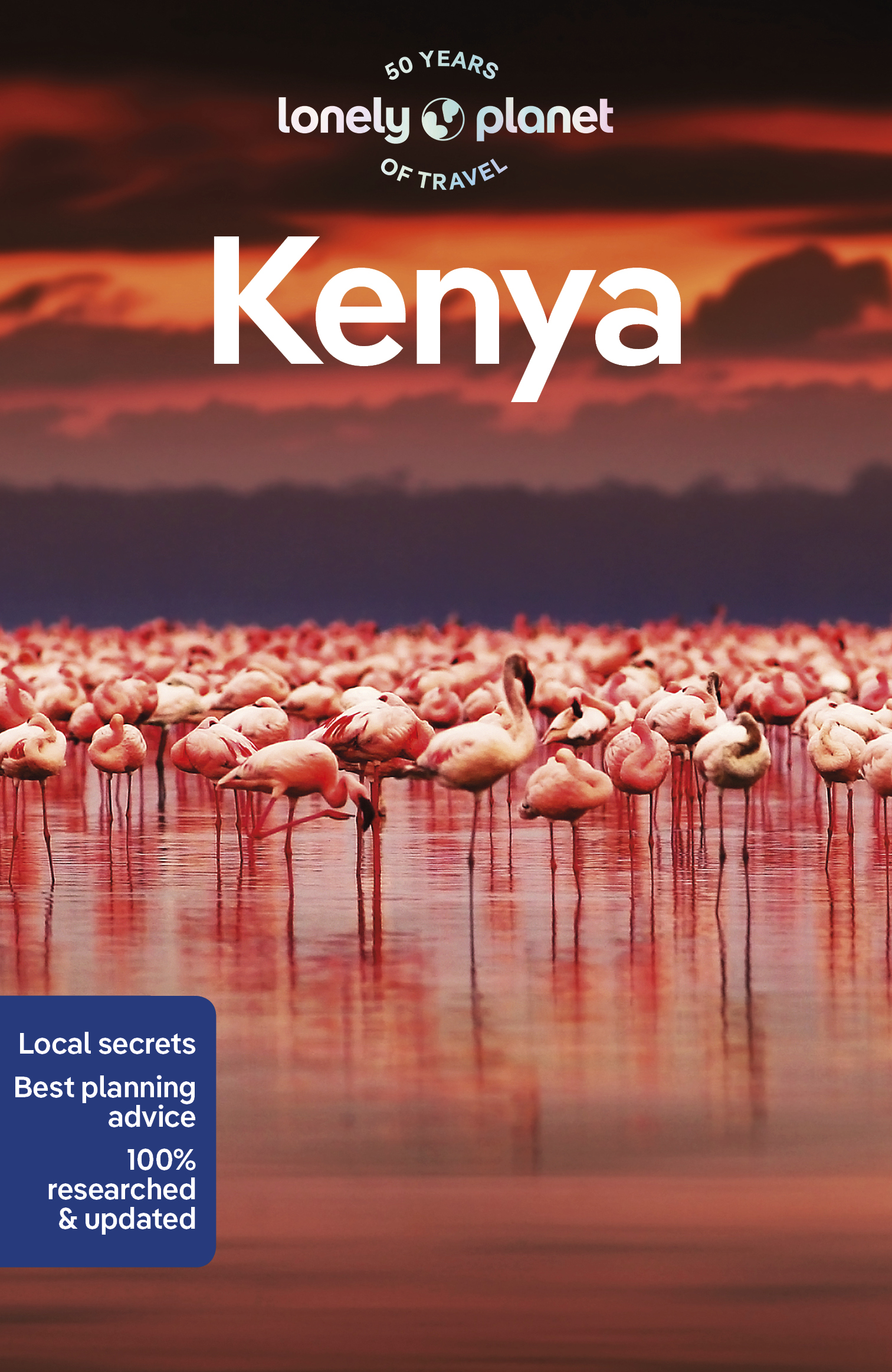 průvodce Kenya 11.edice anglicky Lonely Planet