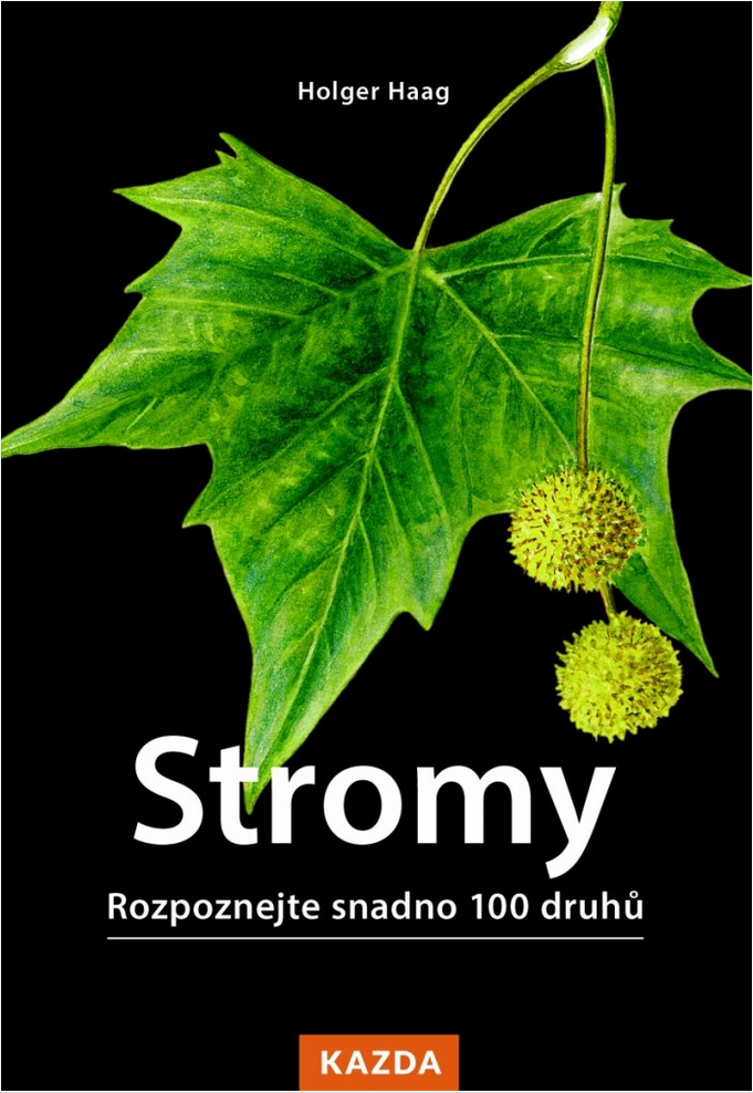 Stromy - Rozpoznejte snadno 100 druhů stromů - průvodce přírodou