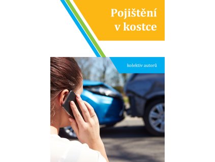 Pojisteni v kostce titulka