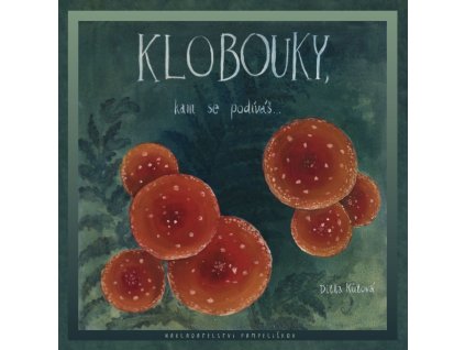 Klobouky náhled4