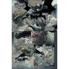 Kapesní komiksové klenoty: Batman: Soví sága_CREW_Knihy Radosti_ukázka1