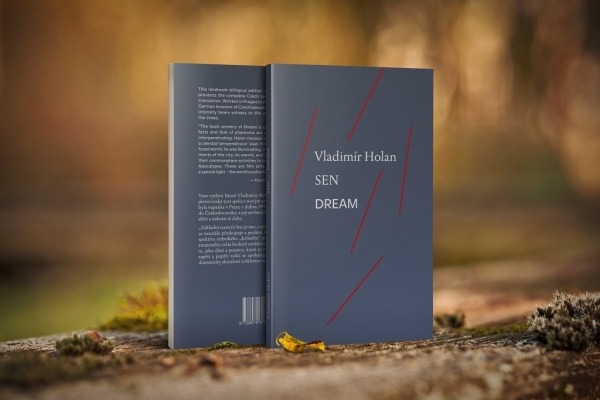 Vladimír Holan: Dream