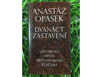dvanactzastaveni