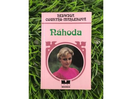 315148008 1128252231135227 7343047794370152739 n