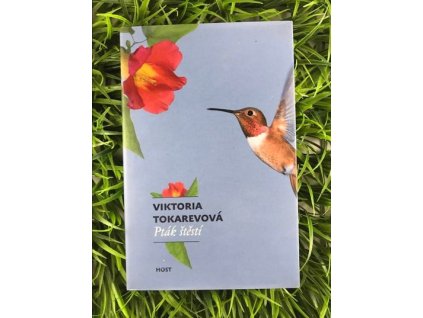 313086588 526895555659121 3239135017451527236 n