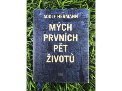 315015755 438391648468028 6710980751134184271 n