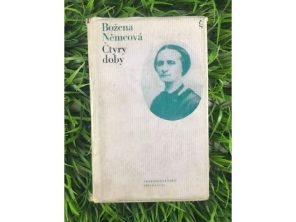 315415701 802197337731818 8453393434777891863 n