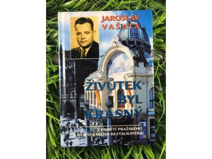 315518399 1573992249704128 7636036247532850036 n