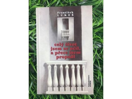 315474817 446179841024549 3860221142991999413 n