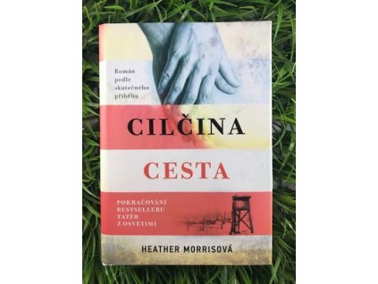 316106289 815463269527329 9181557578975464454 n