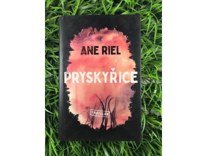 315911788 828785084908257 6396414518209811083 n