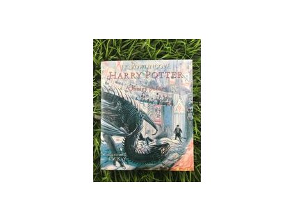 316617937 681634506861803 7797359753282140375 n