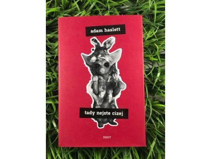 316487288 512449227644303 7641141013665012951 n