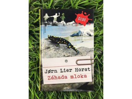 316842066 1168124857157924 6926316018043281815 n