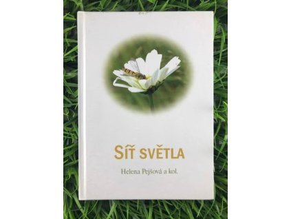 316689646 662209185285745 3467918602040483389 n